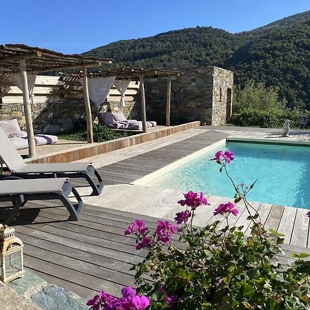 Chambres D'Hotes Et Studios De Charme - A Mandria Murato Dış mekan fotoğraf