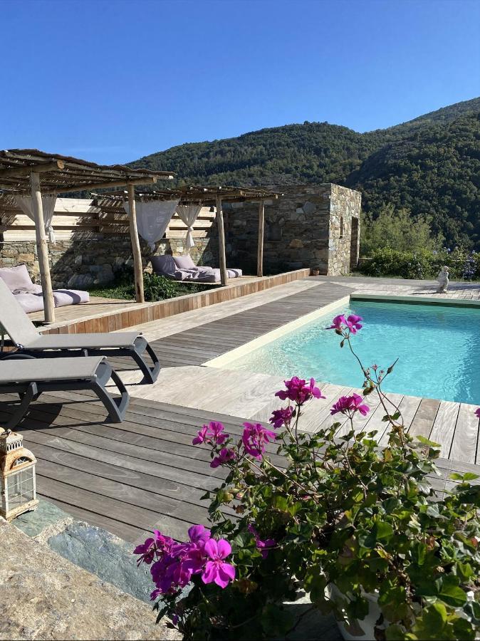 Chambres D'Hotes Et Studios De Charme - A Mandria Murato Dış mekan fotoğraf